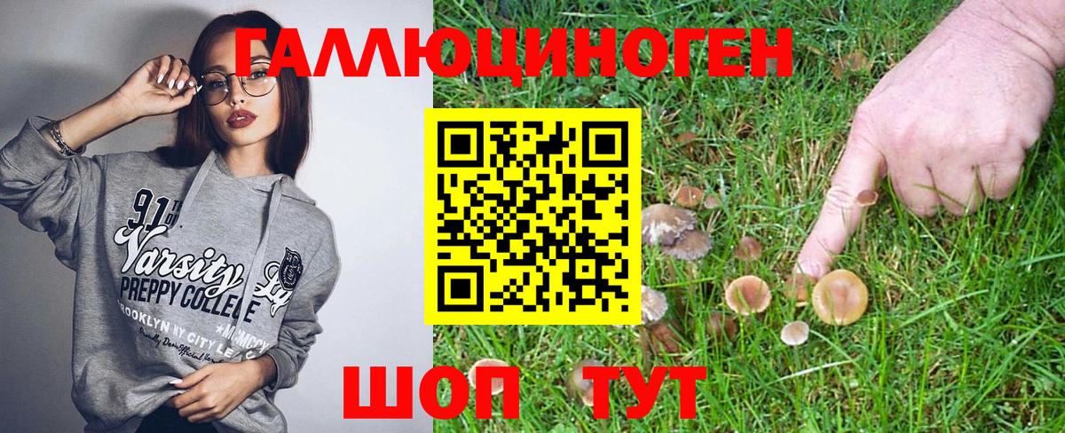 Галлюциногенные грибы Cubensis  Вход с VPN  Михайловка 