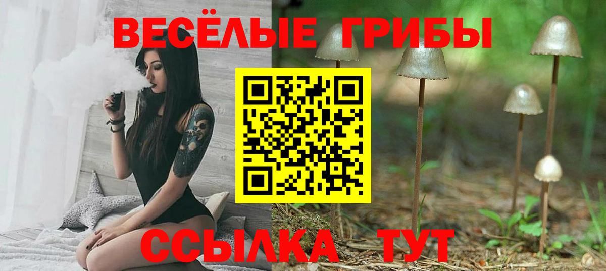 Галлюциногенные грибы GOLDEN TEACHER Михайловка
